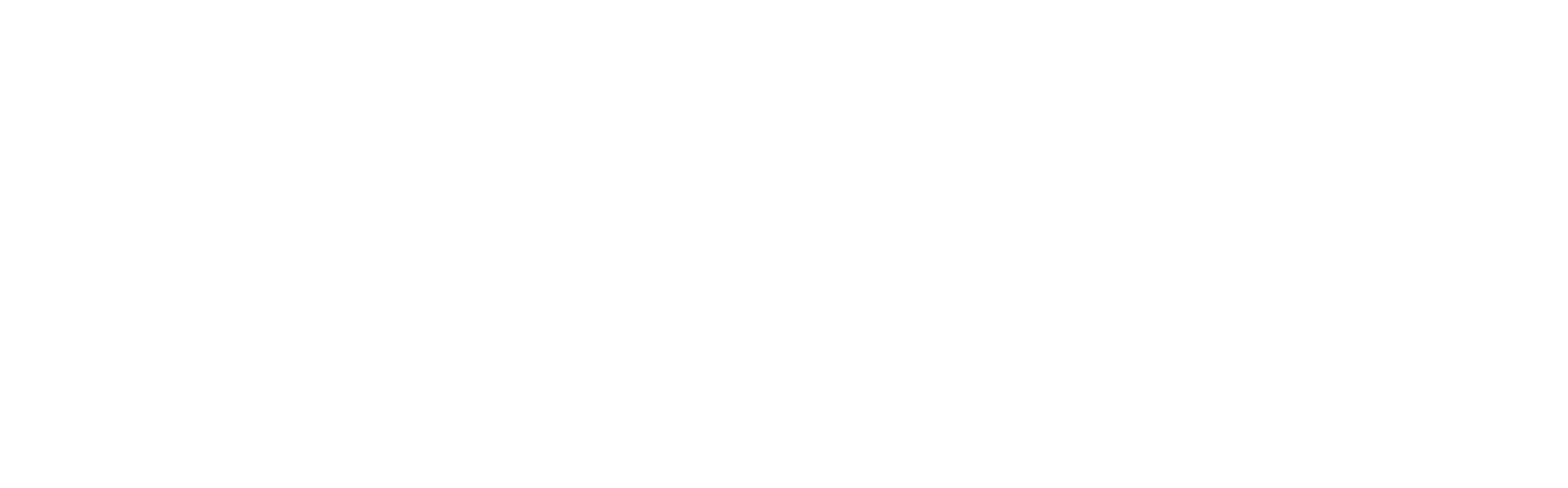 Qbits Logo WHT@4x